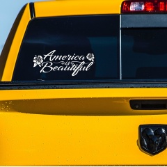 aib-hibiscus-white-1047