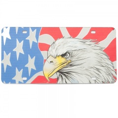 american-flag-eagle-metallic-mirror-vanity-license-plate_1401184290