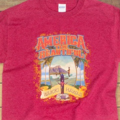 syb-ts-102-atb-0017-a2-z