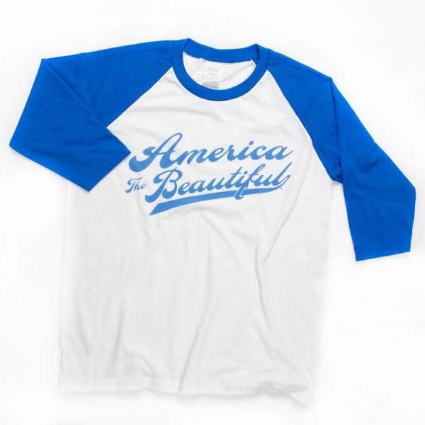 text-baseball-swoosh-blue-0004-large_389273935