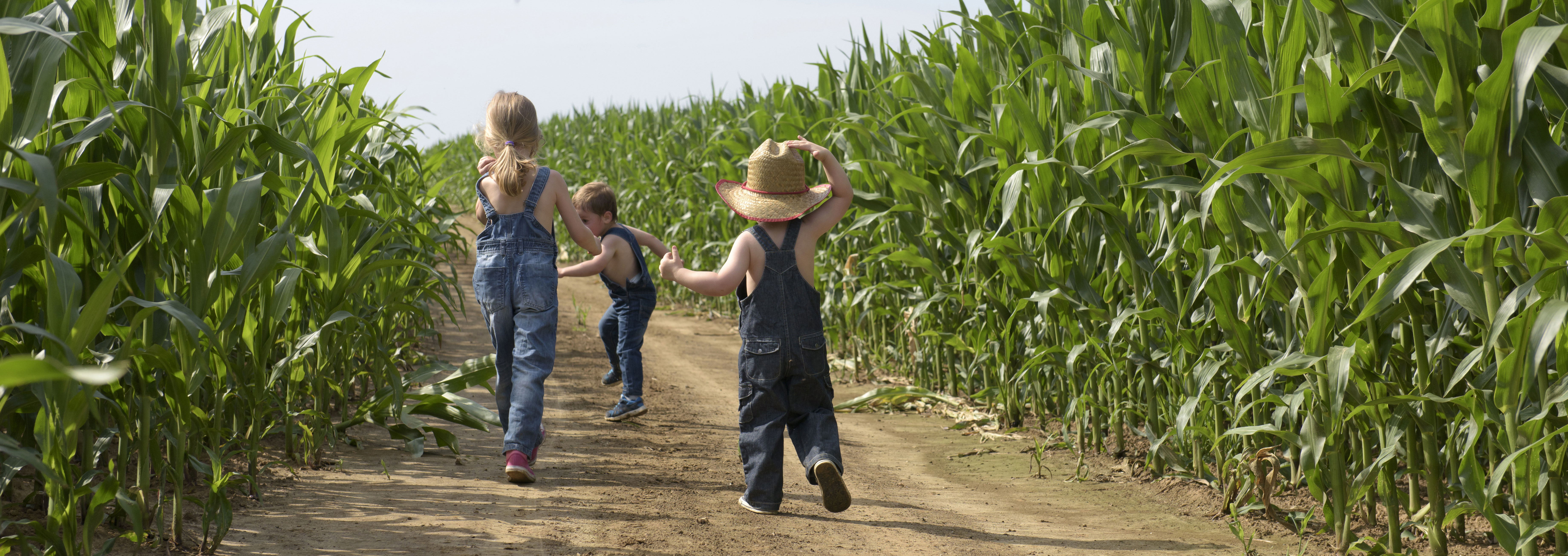 Slide #2 Beauty Slide background